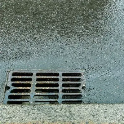 Stormwater drains collect rainwater runoff, showing how gutter debris can enter drainage systems in Dunedin.