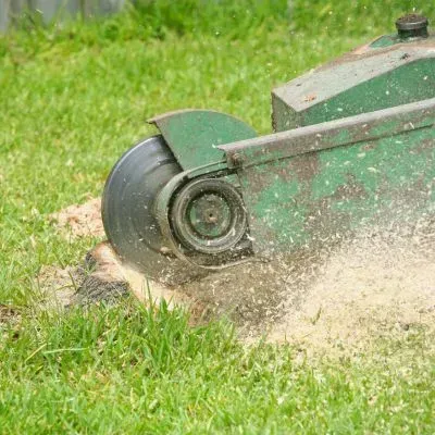 Close-up of stump grinding equipment in Dunedin, showing the process not included in our tree removal service.