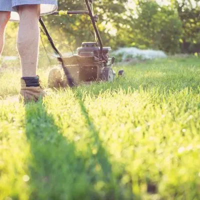 FORUDUNEDIN gardener mowing a grassy verge in a sunlit park, highlighting sustainable lawn care in Dunedin.