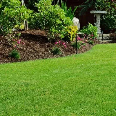 Neatly maintained lawn and garden after a section clean-up in Dunedin, showing a tidy, compliant property.