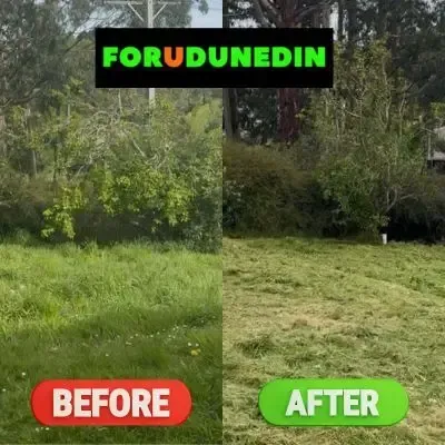 Before & After: Complete lawn care services from tree trimming to lawn mowing in Taieri, Dunedin