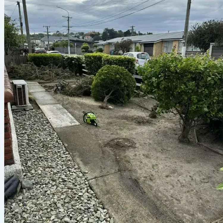 Before: Tree removal and garden makeover for a residential client in Green Island, Dunedin.