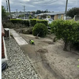 Before: Tree removal and garden makeover for a residential client in Green Island, Dunedin.