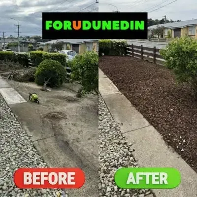 Before & After: Small tree removal and a complete garden makeover in Green Island, Dunedin.
