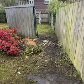 After: Tree removal services in Leith Valley.