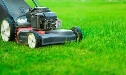 Turf mowing and lawn cutting for a residential client in Balaclava, Dunedin.