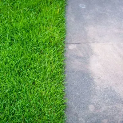 Neatly edged verge with bright green grass beside a concrete path in Dunedin.