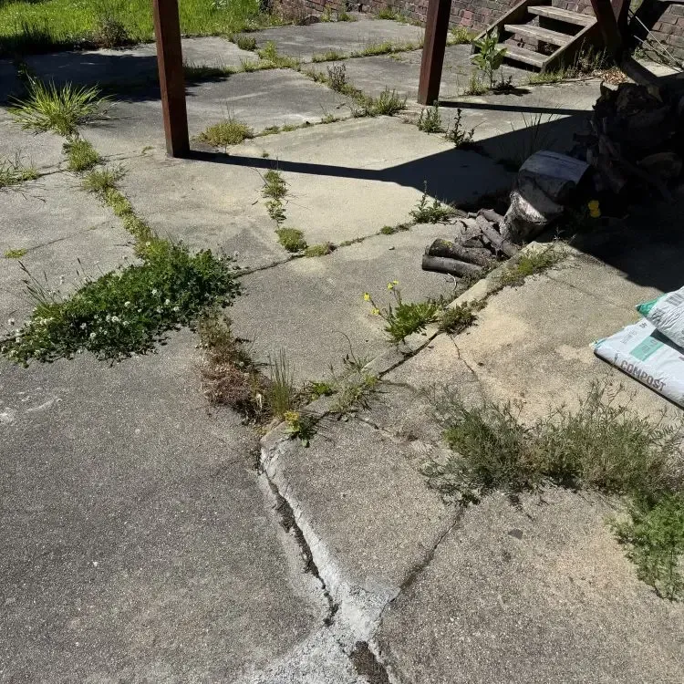 Before: Grass patches and weeds growing through the cracks of an old driveway in Mosgiel, Dunedin.