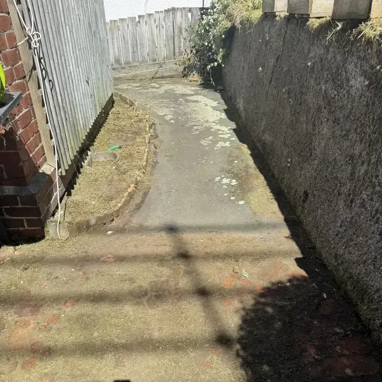 After: Weed and grass clearance resulting in a tidy walkway down the side of a home in Sunnyvale, Dunedin.