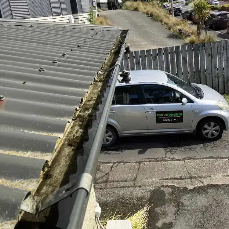After: Clean roof gutters after weed removal, FORUDUNEDIN vehicle visible below. Kaikorai Valley, Dunedin.