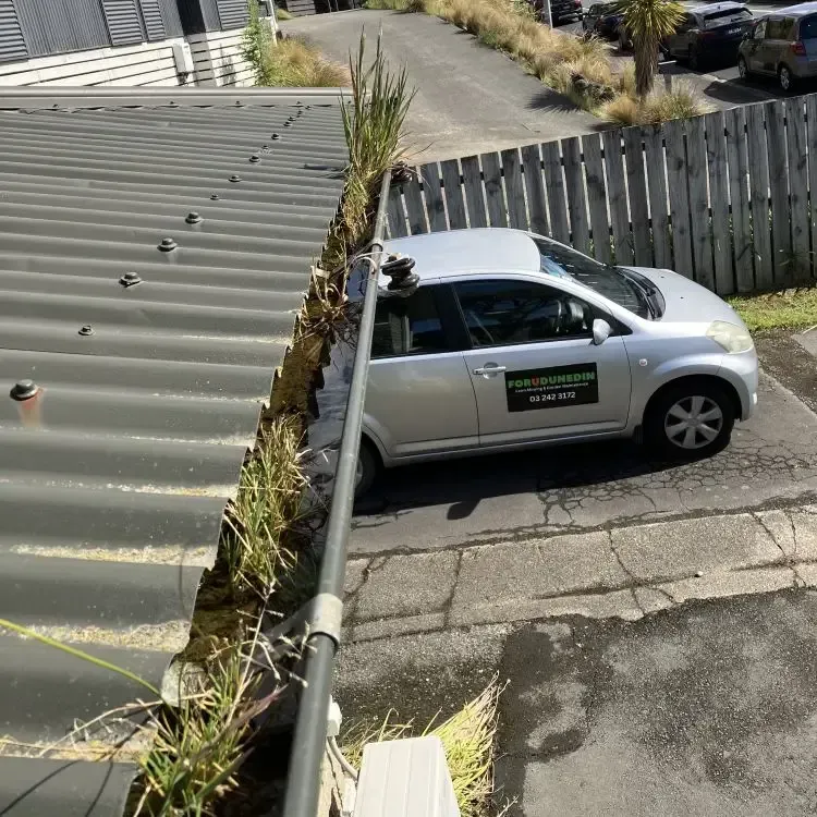 Overgrown grass and weeds blocking roof gutters, FORUDUNEDIN vehicle below. Kaikorai Valley, Dunedin.