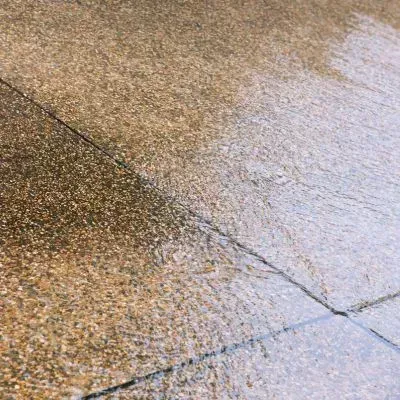 Wet residential driveway after rainfall, showing moss and grime buildup influenced by Dunedin’s damp conditions.