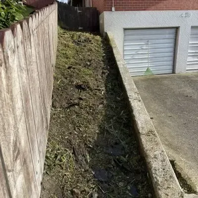 After: Lawn mowing and yard tidy up in North Dunedin.