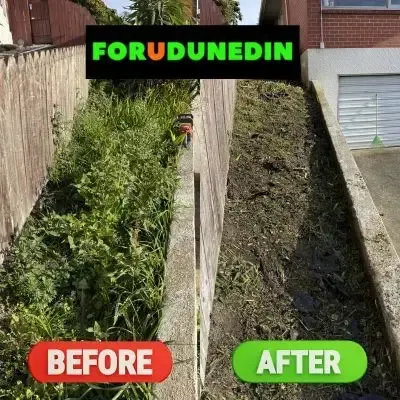 Before & After: Grass trimming and clippings removal from the left side of a residential driveway in North Dunedin, Dunedin.