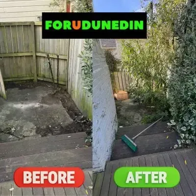 Before & After: Path area behind home cleaned and cleared from debris in Roslyn, Dunedin.