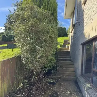 After: Overgrown trees and greenwaste removal in St Clair.