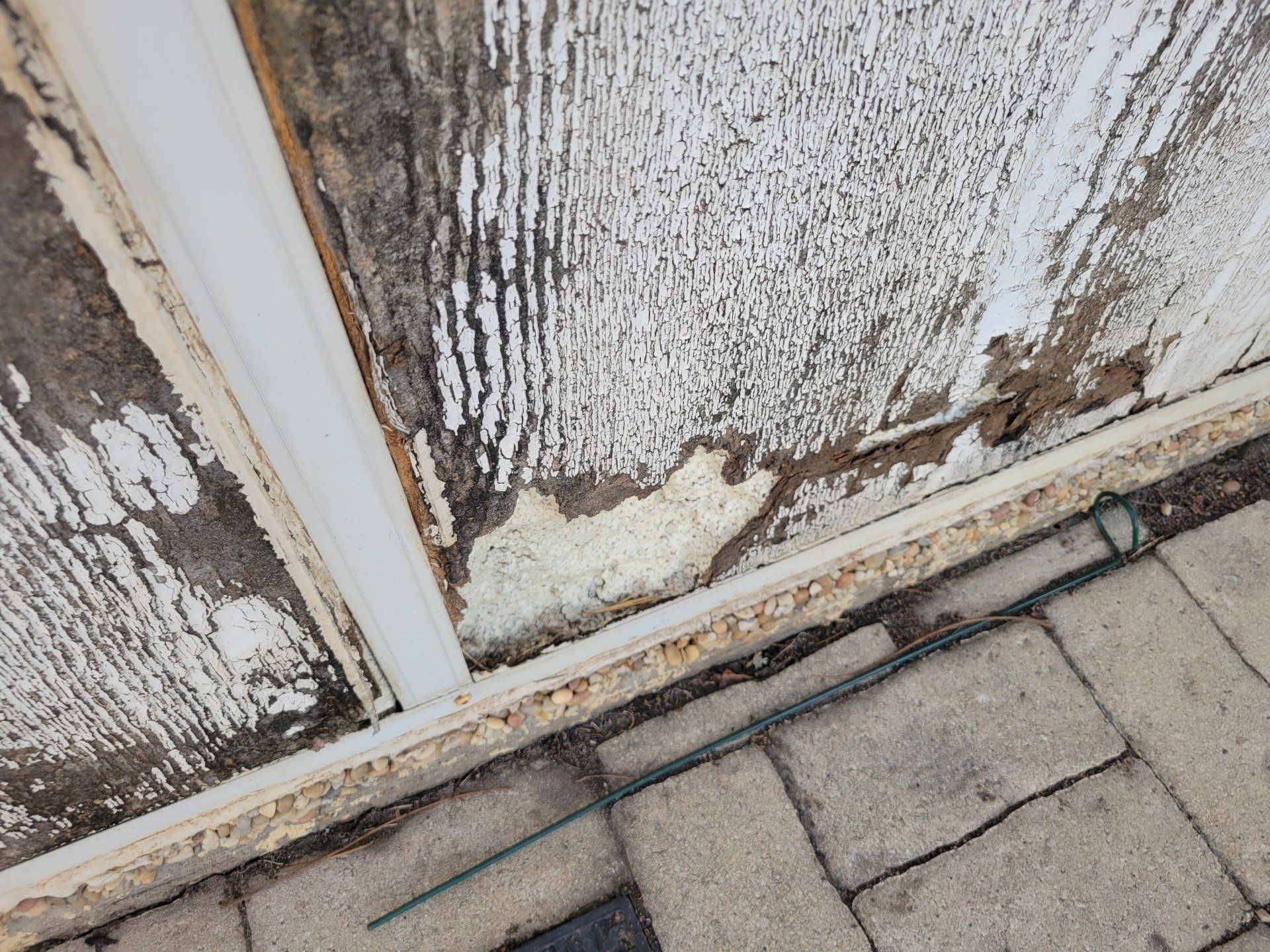 Siding Full of Termites — Fort Worth, TX — Hearthstone Professional Inspections