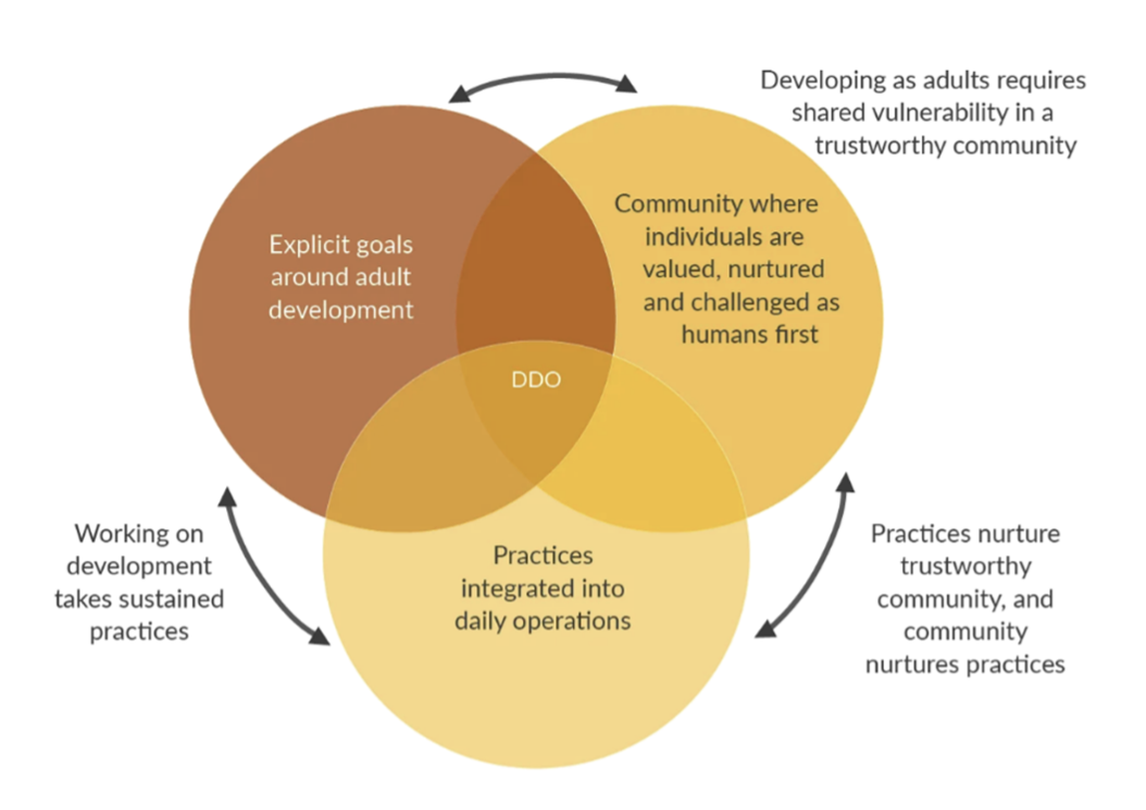 Deliberately Development Organization