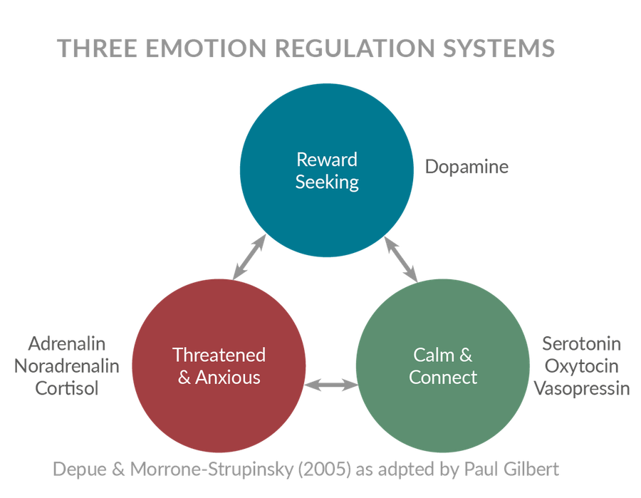 A diagram showing the emotion regulation systems