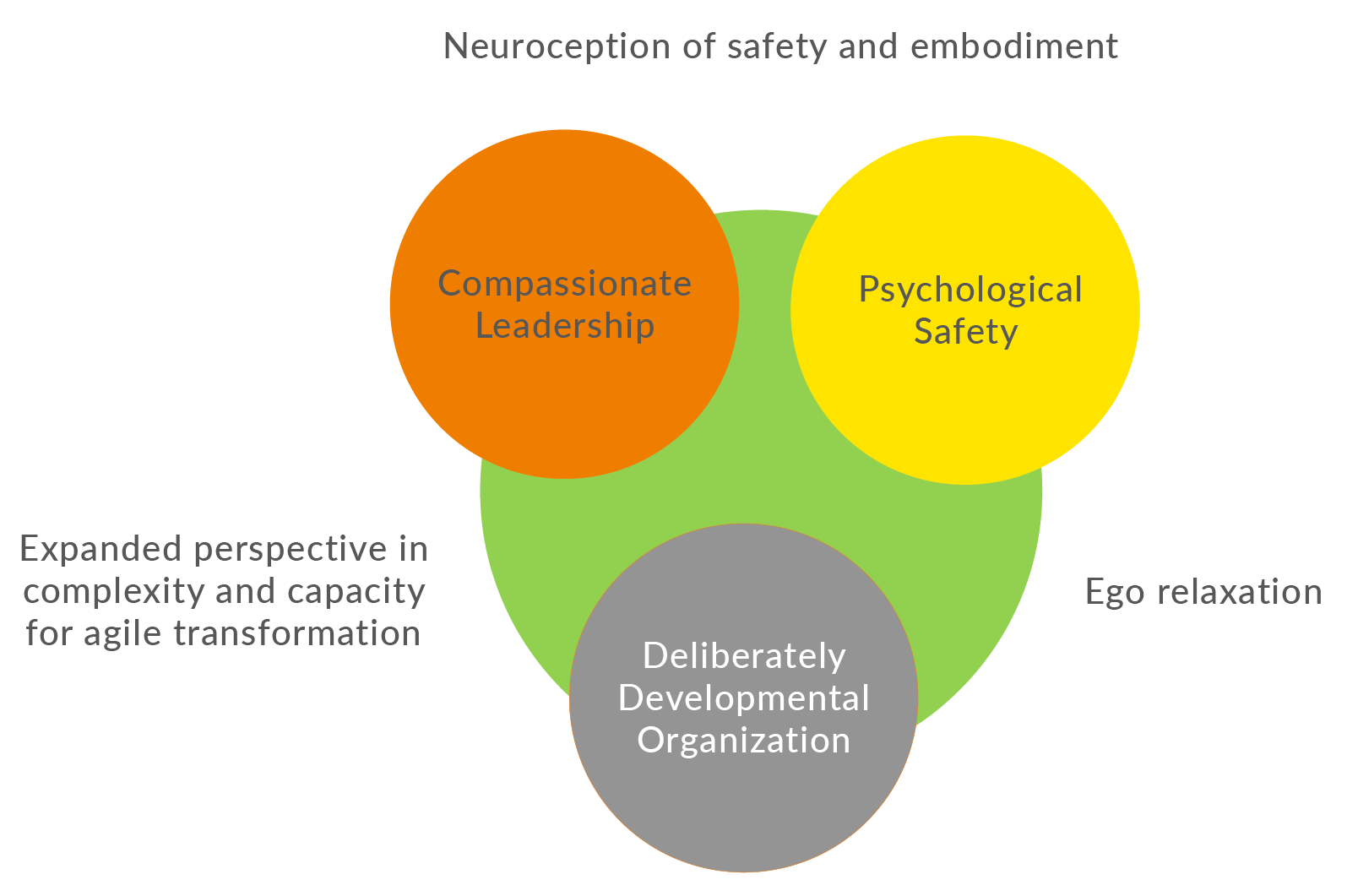 A diagram showing the stages of a project