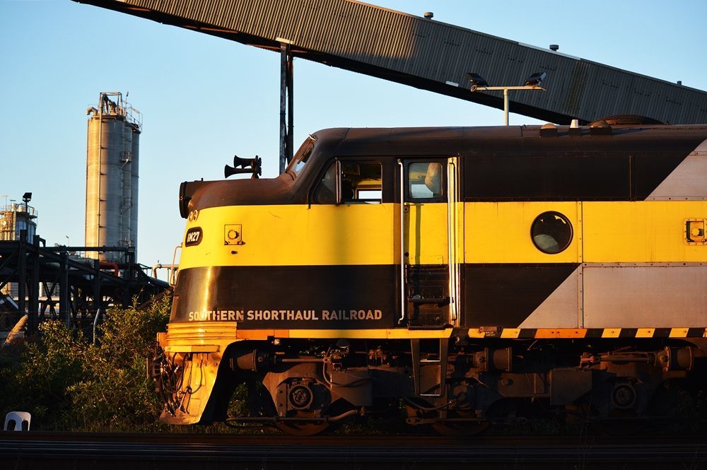 Australian-Train#10