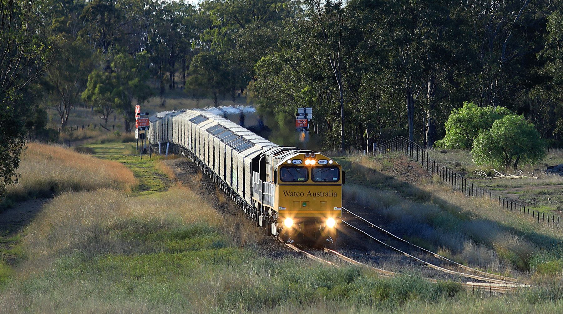 Australian-Train#11