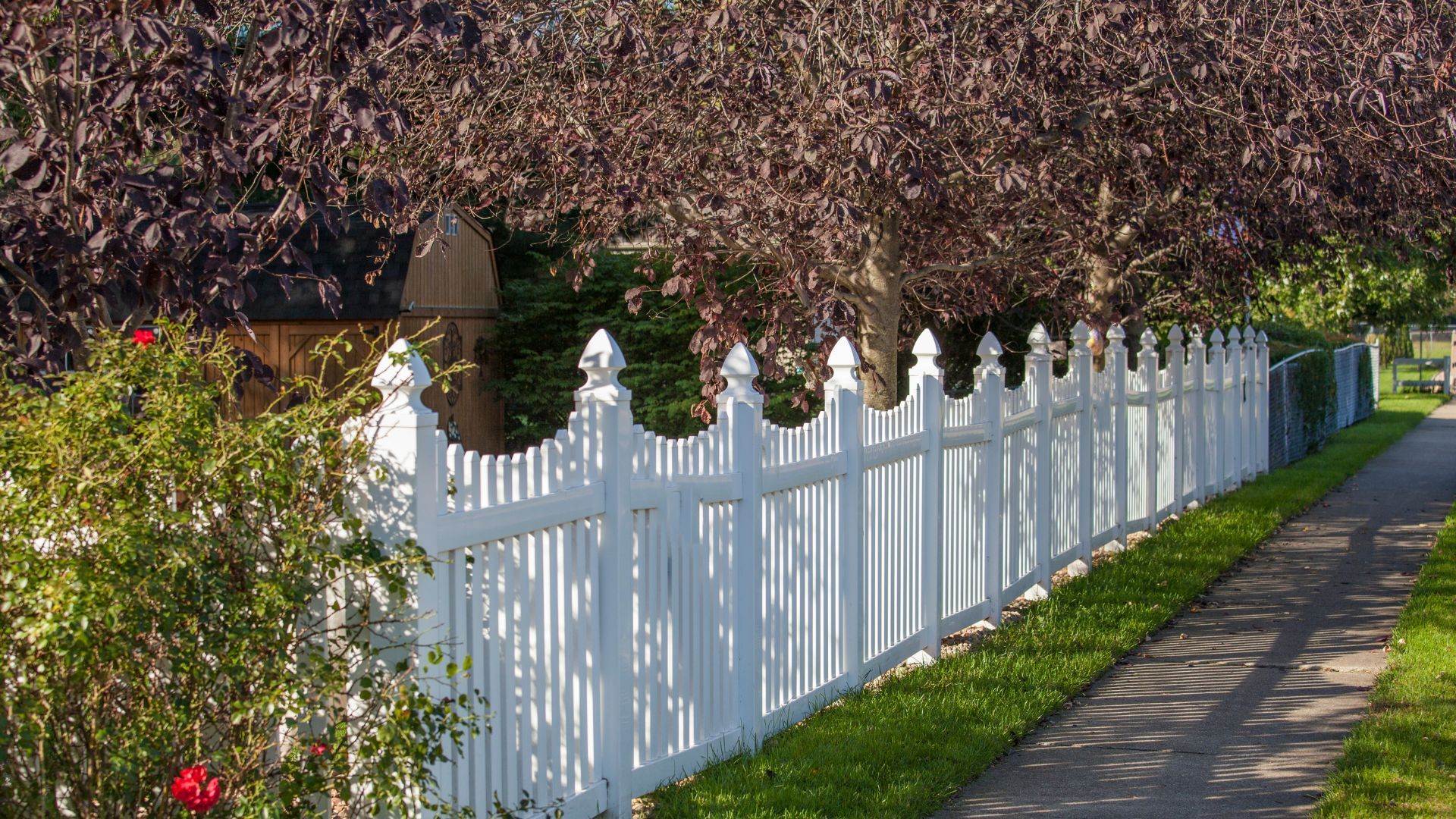 Champion Fence Arvada