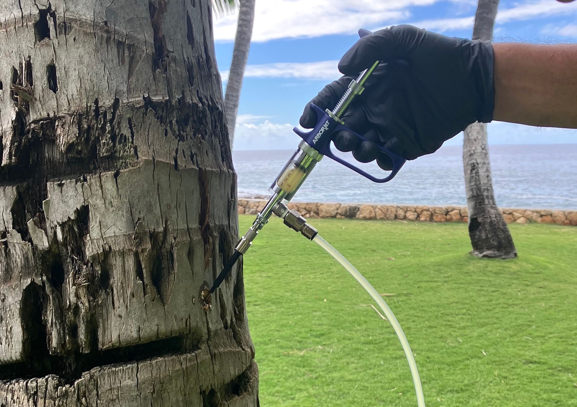 Gloved hand using a hose spray nozzle beside a tree on a grassy waterfront lawn.