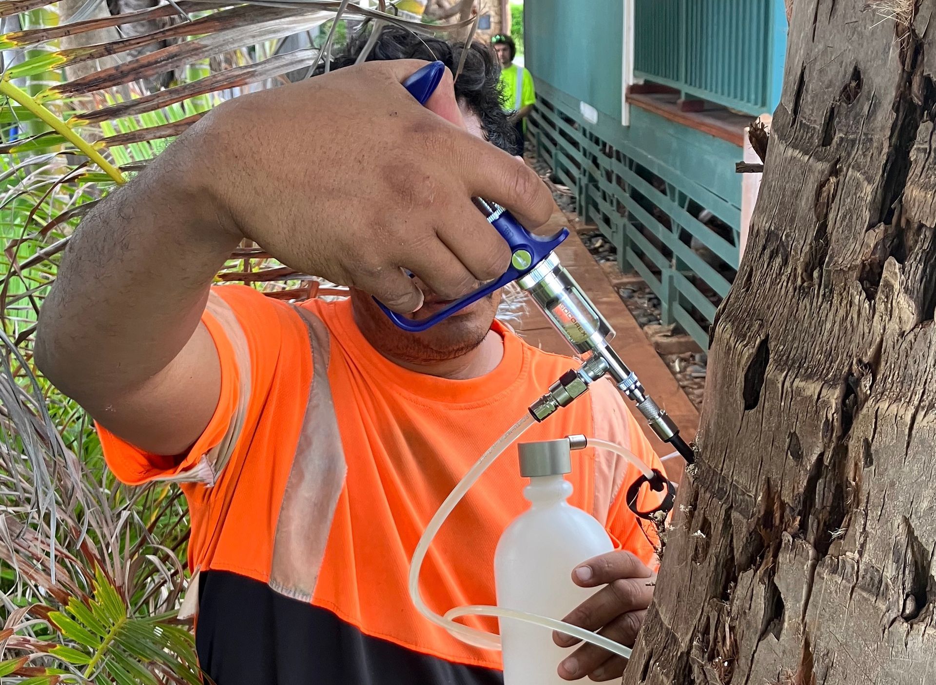 Worker in orange shirt spraying a tree trunk with a handheld tool outdoors.