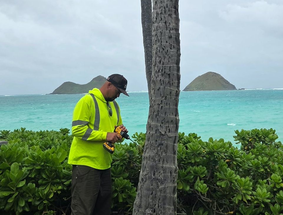 Person in a neon jacket standing by a palm tree on a tropical beach with turquoise water and small islands.