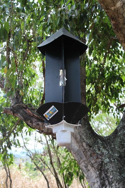 Black bird feeder mounted to a tree branch among green leaves.