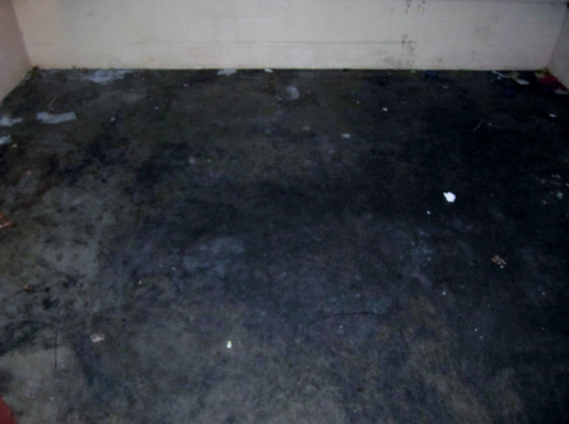 Dark, dirty concrete floor in a bare room with scattered debris and stained walls