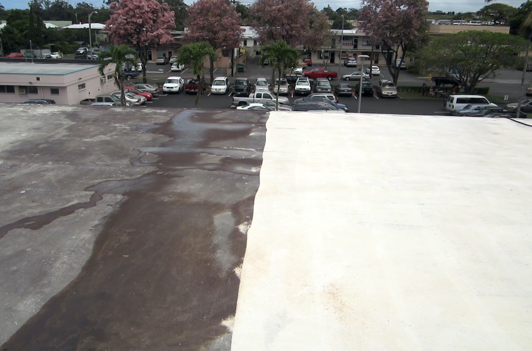 Rooftop view of a parking lot with cars and blooming trees beyond a split dark and white roof surface