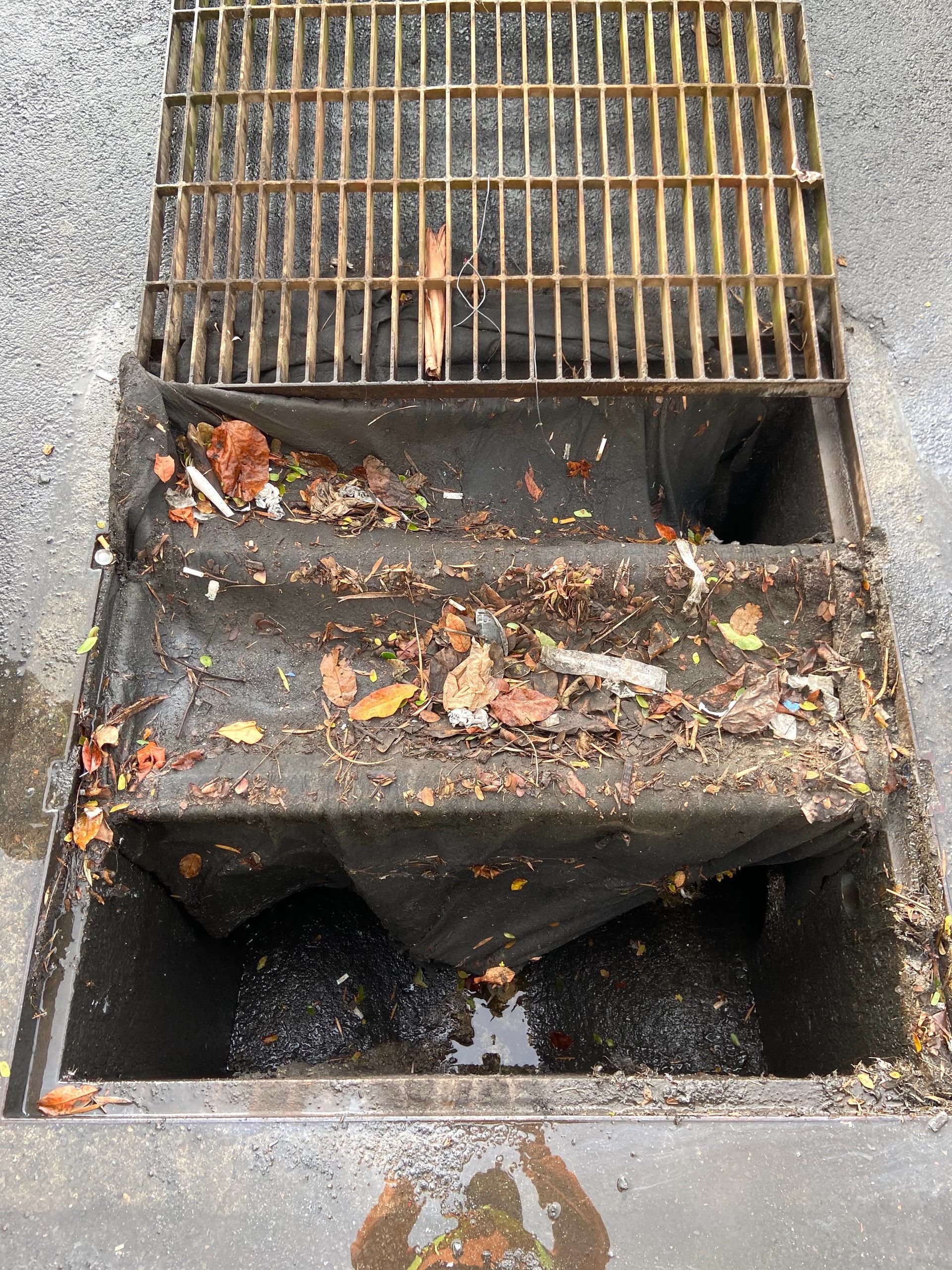 Clogged storm drain grate with wet leaves and debris in a concrete curb opening.