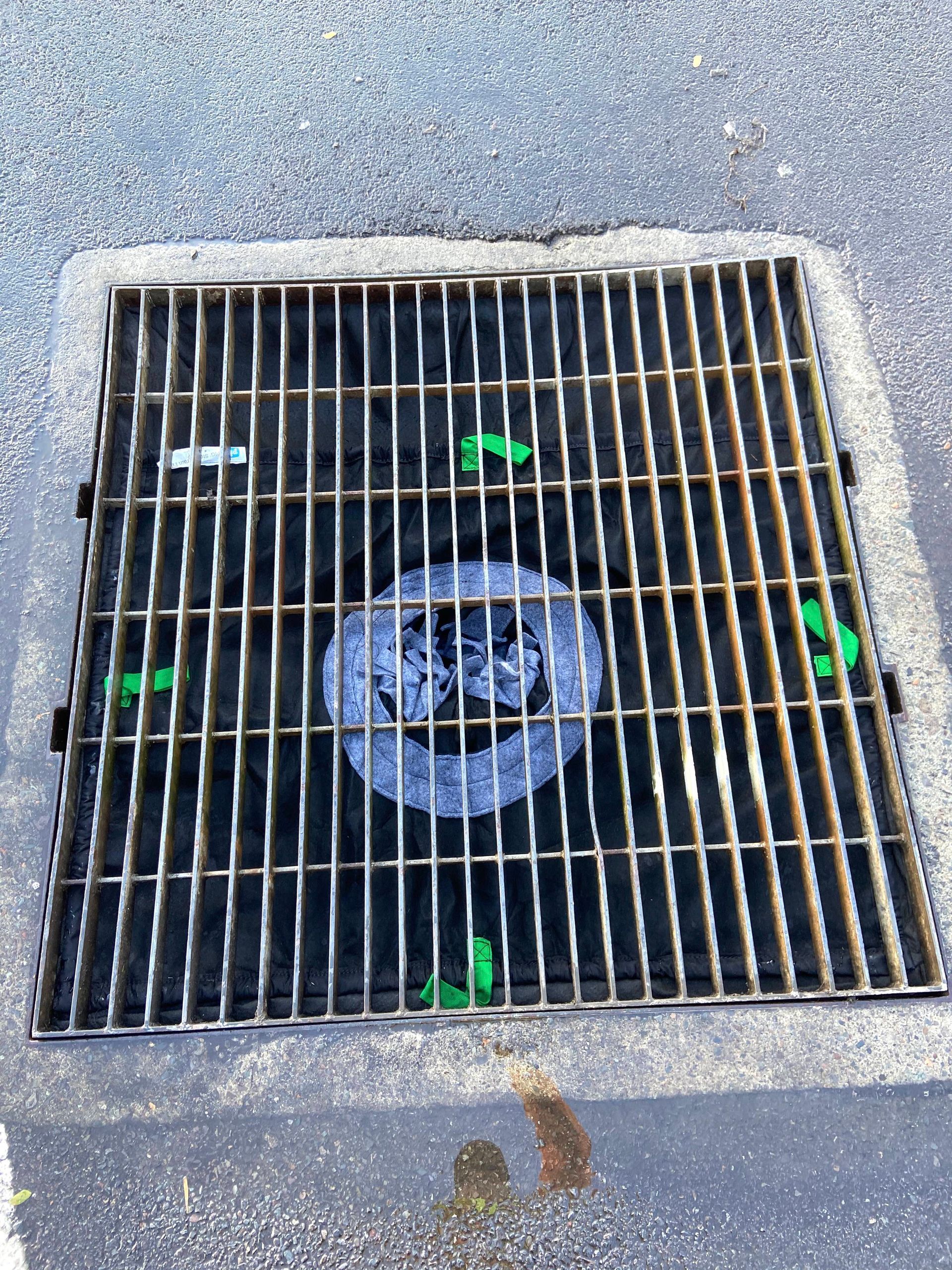 Storm drain grate with a small blue object and green markers on concrete pavement.