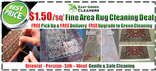 carpet cleaning specials