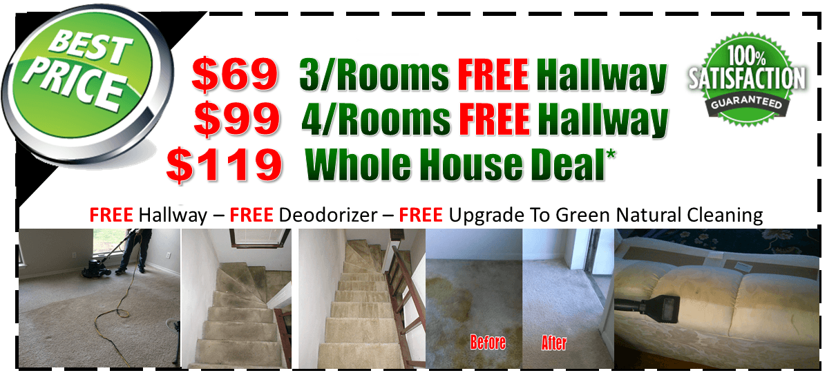 steam carpet cleaning coupons