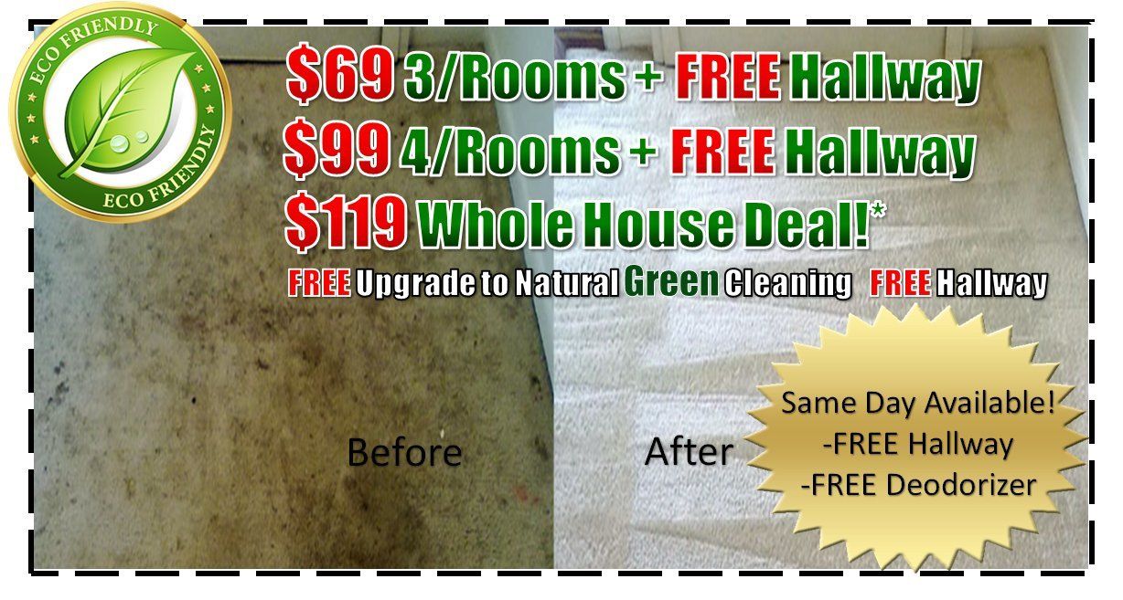 carpet cleaning, steam carpet cleaning, professional carpet cleaners