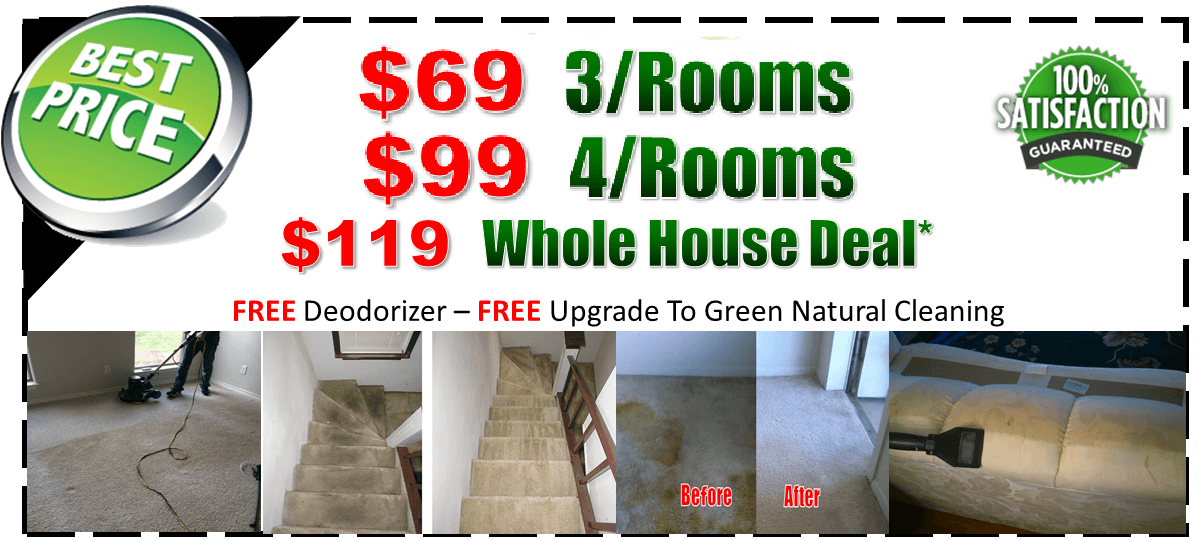 steam carpet cleaning coupons