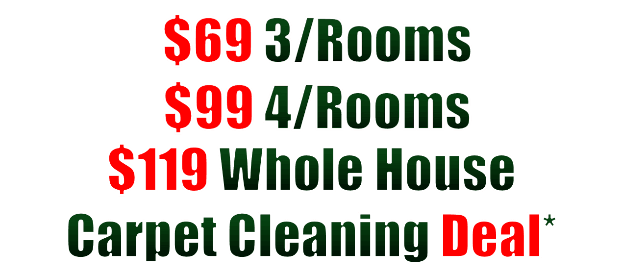 steam carpet cleaning specials