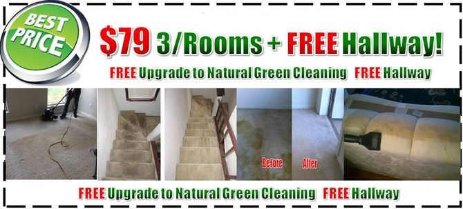 green steam cleaning deal