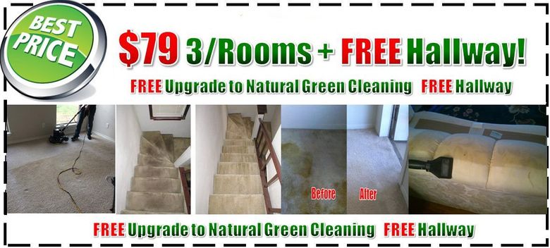  steam carpet cleaners