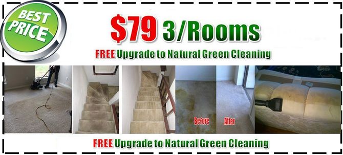 green steam cleaning deal