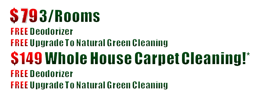carpet steam cleaners
