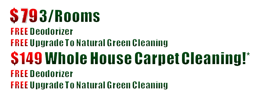 carpet steam cleaners, steam carpet cleaning, professional carpet cleaners