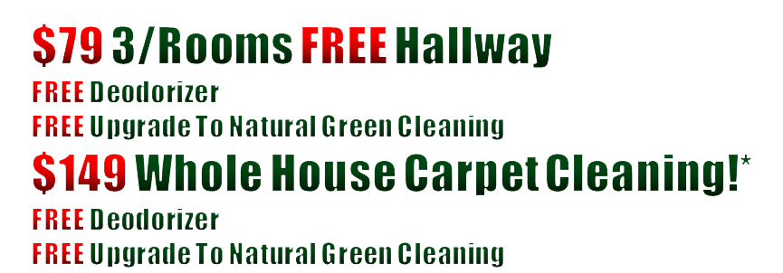 carpet steam cleaners