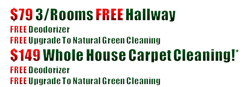 carpet cleaning, steam carpet cleaning, professional carpet cleaners