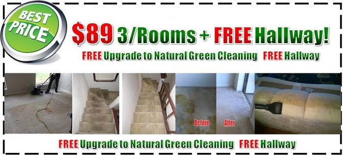 green steam cleaning deal