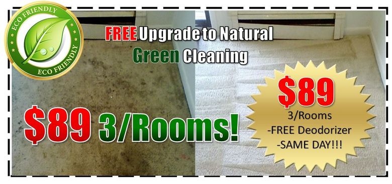 green steam cleaning deal