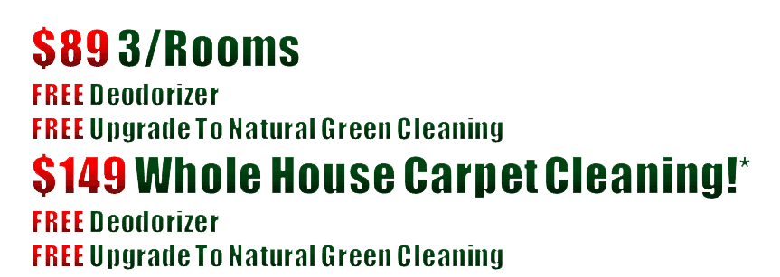 Carpet Steam Cleaning specials
